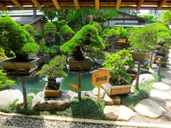 Museu do Bonsai de Shunkaen